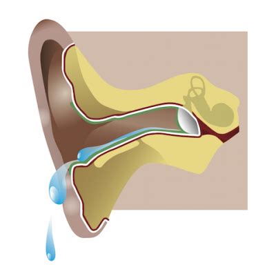 How is a middle ear infection diagnosed? AudiolSWIM® - het onzichtbare & veiligste zwemdopje