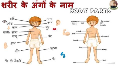 Here you can learn about name of body part in hindi and enlish with picture. Names Of Body Parts In Hindi/ शरीर के अंगों के नाम - YouTube