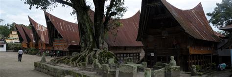 Ular ini di antara jenis yang berbisa yang terbesar di malaysia. Menjelajah Danau Toba , Tasik Gunung Berapi Terbesar Di ...