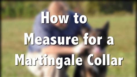 How to measure dog for martingale collar. How to Measure for a Martingale Dog Collar - YouTube