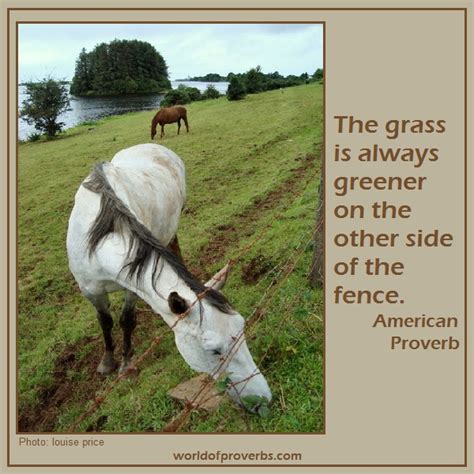 The strangest things can happen on the way to paradise where the grass is always greener on the. louise price