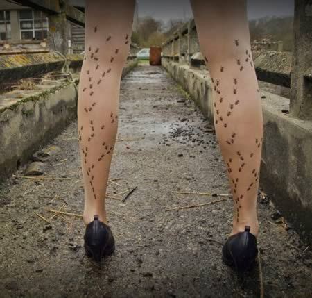 A pair of nice legs and some sheer nylons are all it takes to make me horny. Crawling Bugs Tights | Cool tights, Cute tights