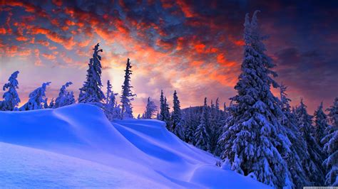 1606 7680x4320 hd wallpapers and background images. 8k Wallpaper For Pc - Christmas Winter (#80259) - HD ...