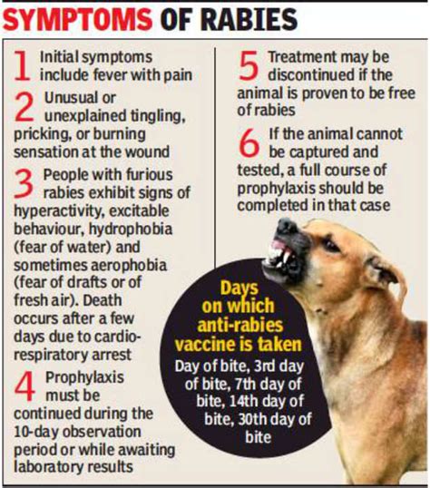 How long does it take for rabies to develop? How Long After Dog Bite To Get Rabies Shot - Hutomo