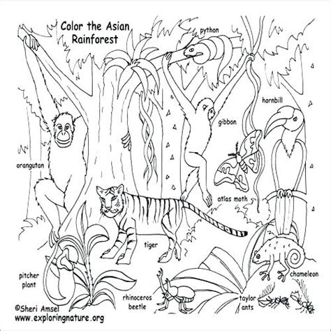 Download Animal Habitat Coloring Pages at GetColorings.com | Free ...