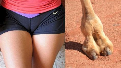 An example sentence will be as follows: Camel toe panties for sale: This is a thing now