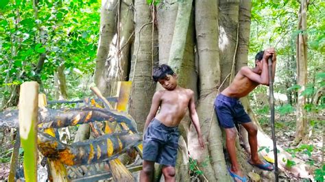 The leopard eventually threw in the towel and walked off to lick its wounds on its front leg, according to barcroft. Hungry boys hunting in deep forest//they cooking in river ...