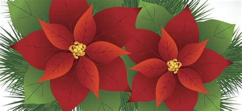 Su nombre científico es euphorbia pulcherrima y también se la conoce como pascuero o poinsetia. La flor de Nochebuena. Leyenda navideña de México