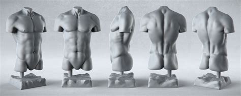 With emphasis on muscle structure. Male Anatomy Studies - PixelPirate