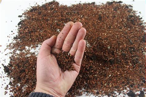 The best soil mix for deciduous bonsai trees will contain more clay based substrate (such as akadama) to aid in water retention. An Introduction to Bonsai Soils