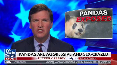 More news for tucker carlson reaction » Tucker Carlson's Sex-Crazed Pandas | Know Your Meme