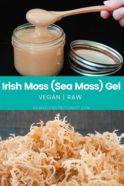 In this way, we will learn about how to make the most popular and most beneficial genus graciliaria. How to Make Irish Moss Gel | Raw food recipes, Raw food ...