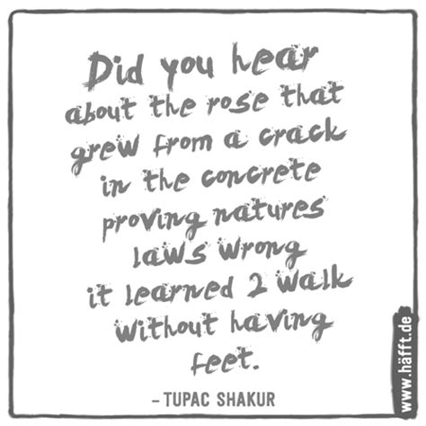 Durchsuchen sie die sammlung nach textinhalt, autor, thema, quelle oder epoche. Die besten Zitate von Tupac Shakur · Häfft.de