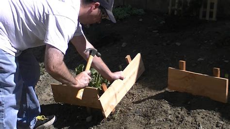 Tomatoes have specific growth requirements. Last minute mini project - How to protect your plants from ...