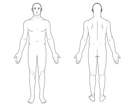 We first collect data from different individuals, groups, races, and so on. Male Body Diagram male body diagram photos human body ...