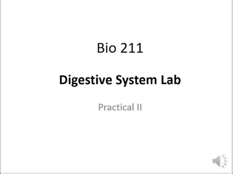 You have remained in right site to begin getting this info. Digestive System lab - YouTube