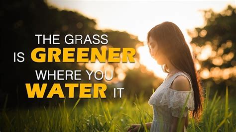 How to keep your grass green, even in a drought? The Grass Is Greener Where You Water It | by Jay Shetty ...
