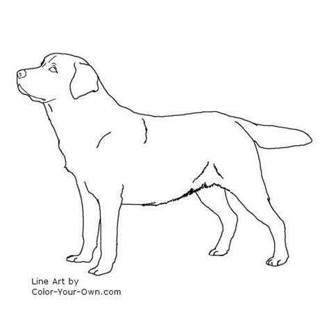 Click here to see what's inside this bundle. #coloring #labrador #pages #puppy #2020 in 2020 | Hond ...