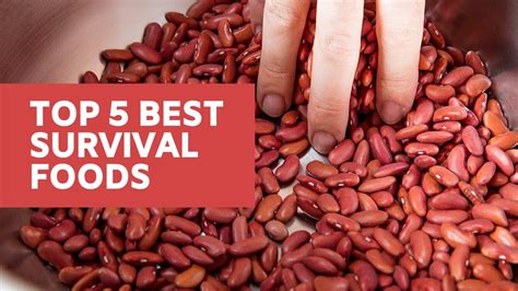 We reviewed the best survival kits to help you survive a disaster. Top 10 Best Survival Foods. - YouTube