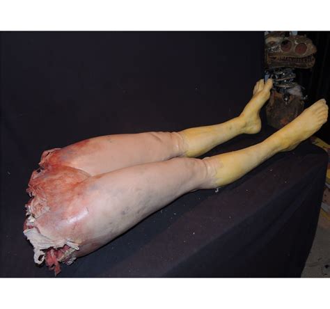 Human body woman posterior view. TORN IN HALF FEMALE LOWER BODY WITH LEGS & EXCELLENT GORE ...