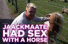 horse sex had