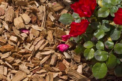 Maybe you would like to learn more about one of these? Mulch & Rock Installation Service | Bloomington-Normal, IL ...