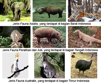 Maybe you would like to learn more about one of these? Penyebaran Flora & Fauna di Indonesia | @Warkop Aremania