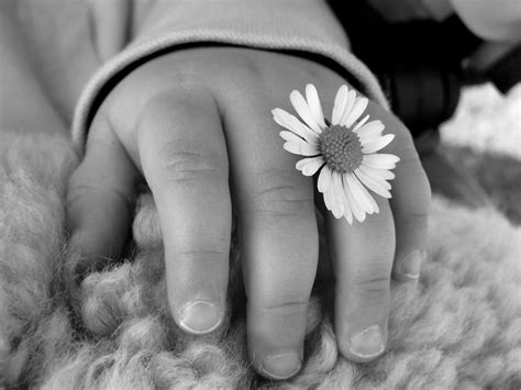 And i think they are the most photographed subject in the world. Babyhand Foto & Bild | kinder, babies, baby Bilder auf ...
