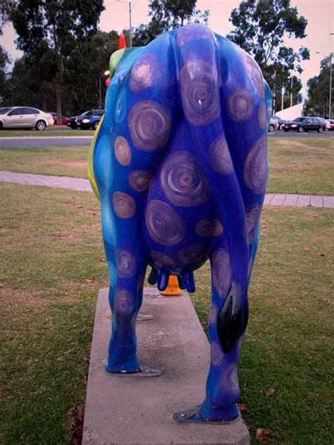 Odavad lennud marsruudil shepparton ➡ cowarie. The amazing adventures of Cazzbo: More Shepparton Cows