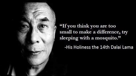 His holiness, tenzin gyatso, the 14th dalai lama (born 6 july 1935). if you think you are too small to make a difference try sleeping with a mosquito - Google Search ...