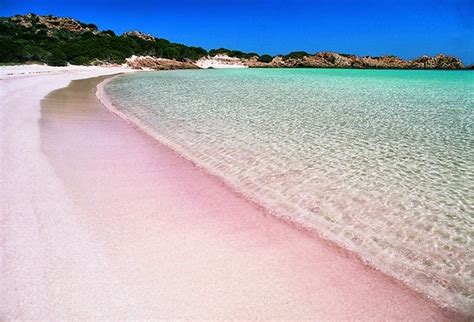 Deve il suo nome al. Viaggio alla scoperta dell'incantevole spiaggia rosa dell ...