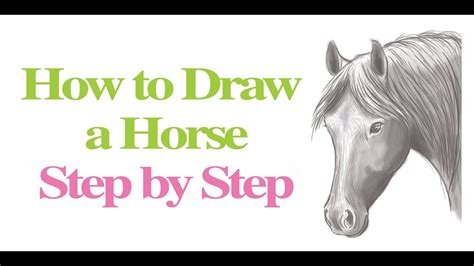 Step 2 by marking the mouth line, continue to draw the lower portion of the neck as illustrated in the figure. How to Draw a Horse - Step by Step Instruction ...