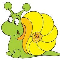 † caracolus aquilonaris bishop, 1979. caracolus (elcaracol) sur Pinterest