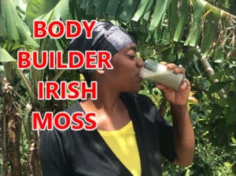 Irish moss is pretty much flavorless, so it can easily be added to smoothie, juice and soup recipes. HOW TO MAKE Irish Moss Body Builder - The Benefits Of ...