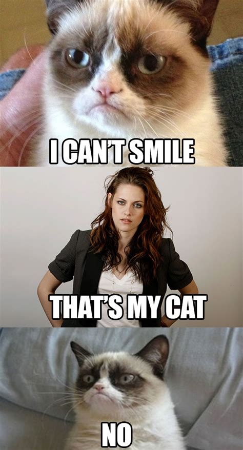 #grumpycat #meme for more grumpy cat stuff, gifts, and meme visit. Gumpy Cat, Kristen Stewart, humor. | Grumpy cat, Funny cat ...