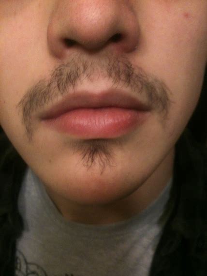 The bearded community has a mixed opinion of rogaine: First real attempt at a mustache (6 Month Update page 3 ...