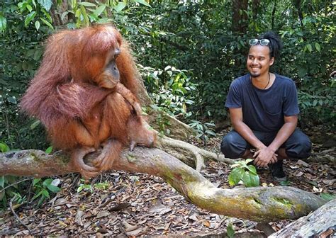 Daftar perusahaan pakan ternak yang ada di indonesia. Damiaan Maximo on Instagram: "When monkeys seem to judge ...