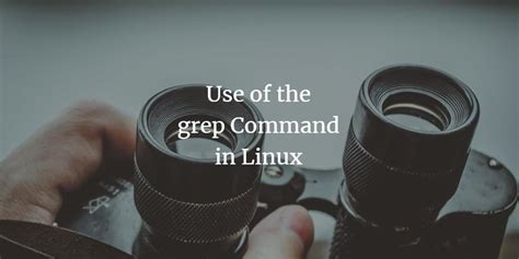 In this case, the terminal prints the first two matches it finds in the sample. Użycie polecenia grep w systemie Linux | Ubuntix