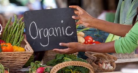 But conscious if the price difference is. Organic food starts to prove its worth | Science News for ...
