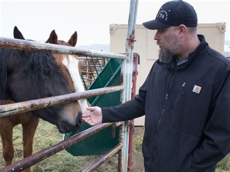 Young stud spoiled by two matures. Wild horses, part two: Horses with no names