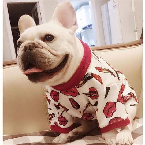 We are committed to offering our clients only the highest quality natural products and providing them. Kiss me - Clothes for French Bulldog | French bulldog ...