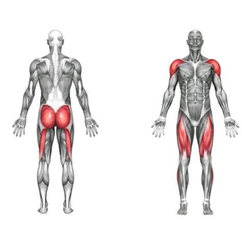 Our clean and jerk standards are based on 196,000 lifts by strength level users. Legs - Dumbbell Clean and Jerk - Exercise How-to - Workout ...