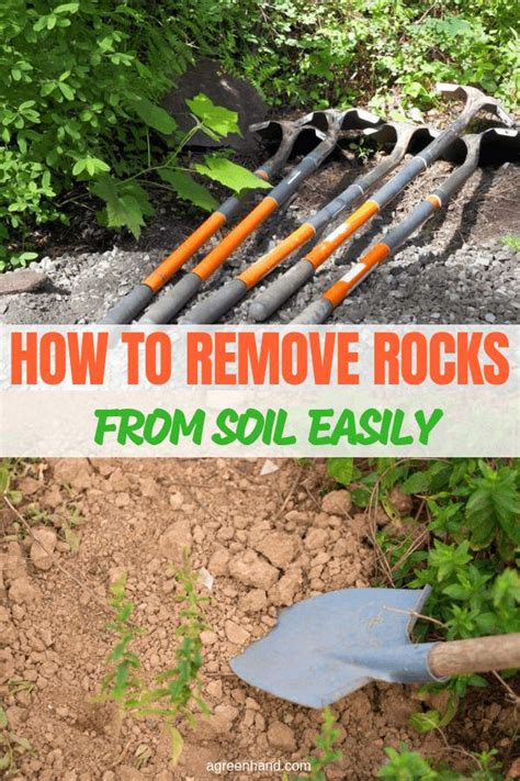 Red pepper flakes work just as well. How To Remove Rocks From Soil Easily? | Garden soil ...