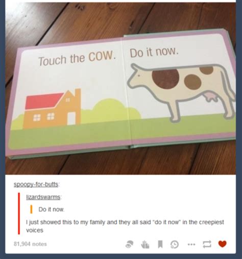 And maybe the cow was the decisions we made along the way all along. touch the cow | Tumblr