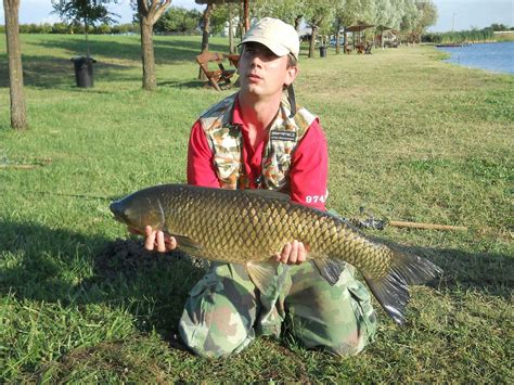 See a recent post on tumblr from @allthingseurope about vojvodina. Fishpond „Jegrička" Žabalj. Vojvodina | Protect nature ...