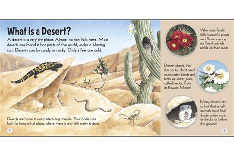 20 amazing animal adaptations for living in the desert. animal: animal adaptations in the desert biome