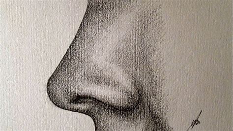Descubre cómo dibujar la nariz perfecta con este tutorial de raquel arellano. Cómo dibujar una nariz de perfil a lápiz paso a paso ...