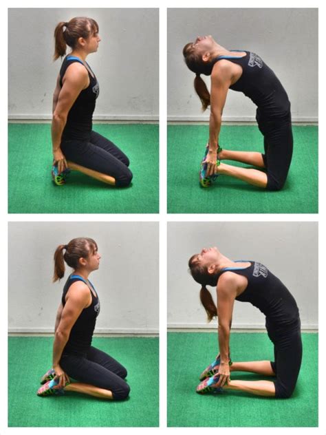 I have no idea who first made a connection between camels and committees, but it seems to me to be used very unthinkingly. The Complete Full Body Warm Up | Redefining Strength