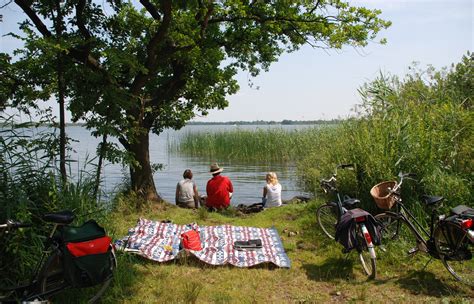 Nederländerna, även holland, är ett land i västeuropa. Free Images : landscape, water, nature, people, bicycle ...