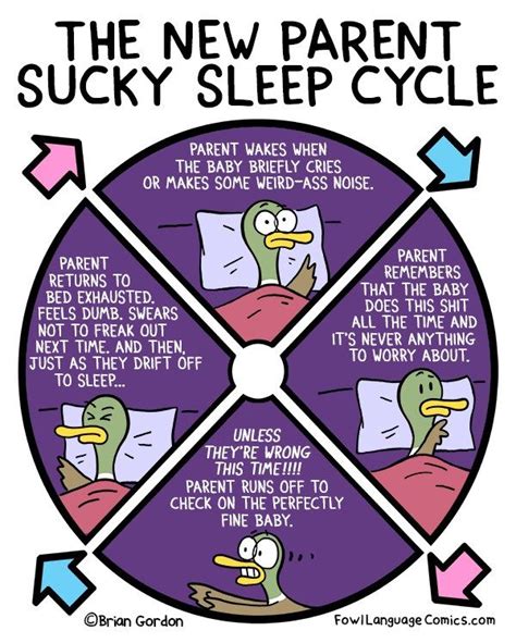 New Parent Sleep Cycle | Mommy humor, Mom humor, New parents